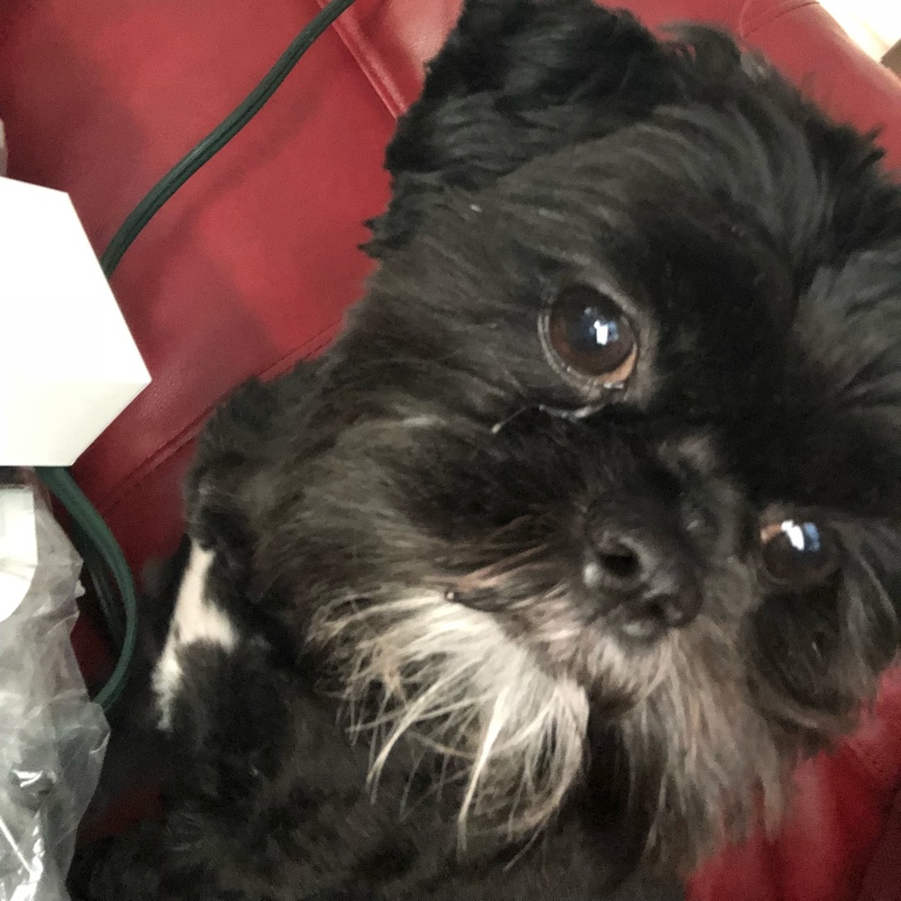 Meet your Posher, Prima